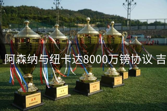 阿森纳与纽卡达8000万镑协议 吉马良斯接近加盟